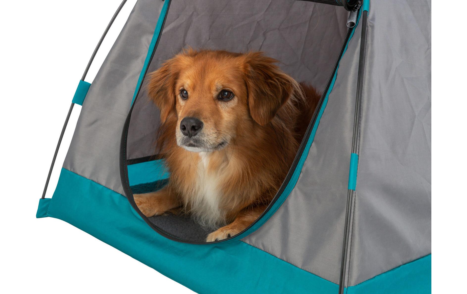 Zelt für Hunde, 80 × 63 × 65 cm, Dunkelgrau/PetrolHunde-Camp