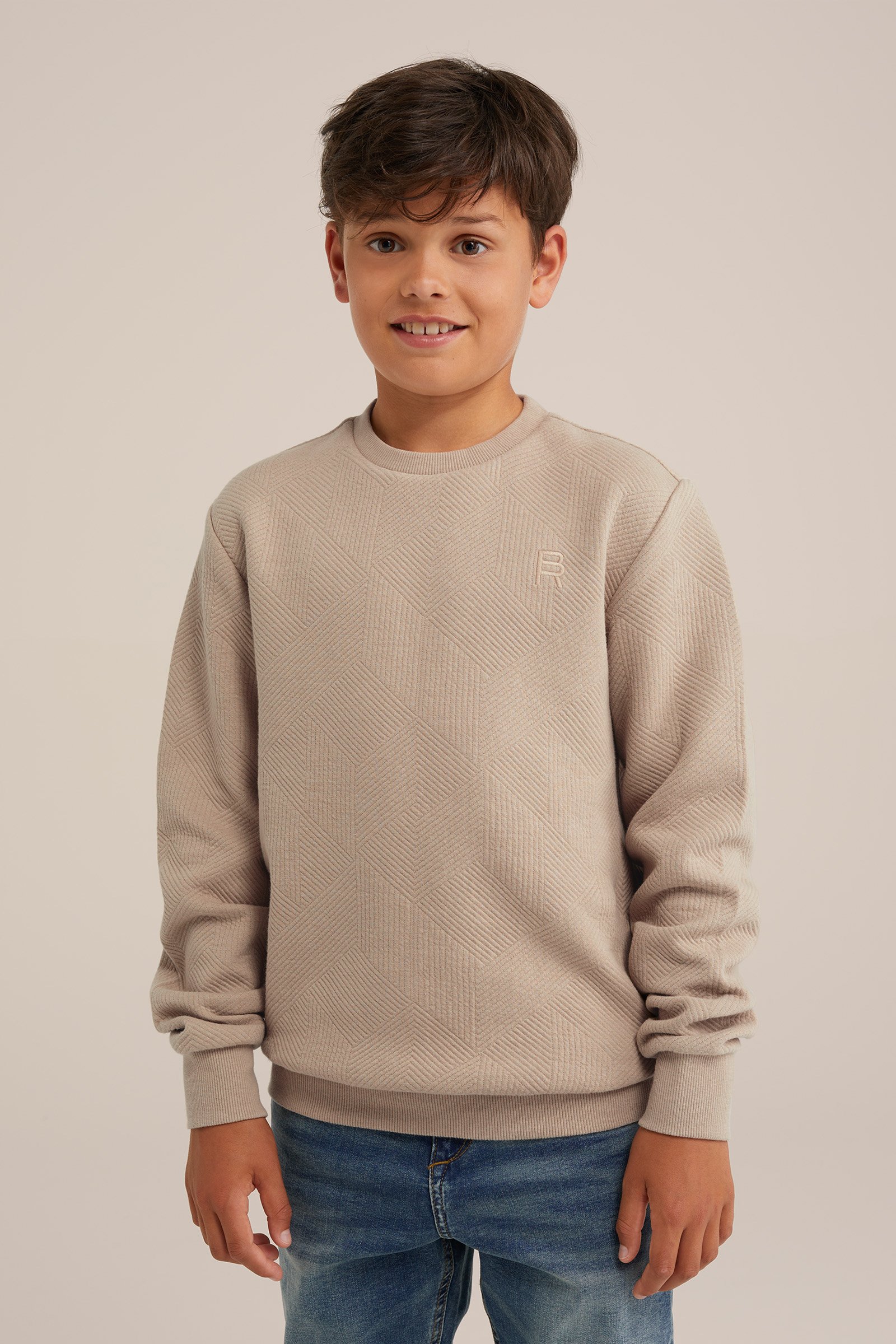 Jongens sweater met structuur Blue Ridge Beige