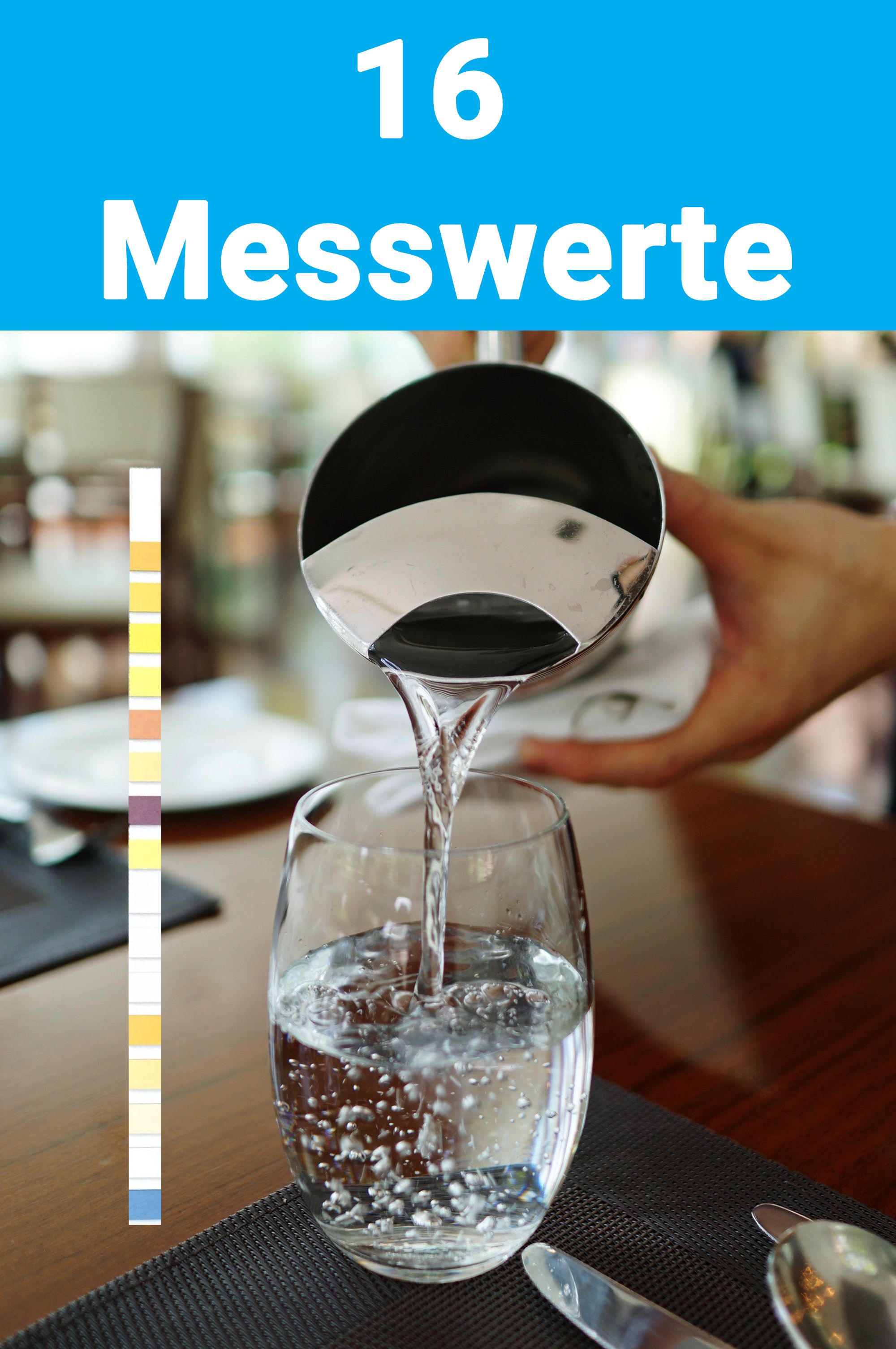BMUT Trinkwassertest 16in1