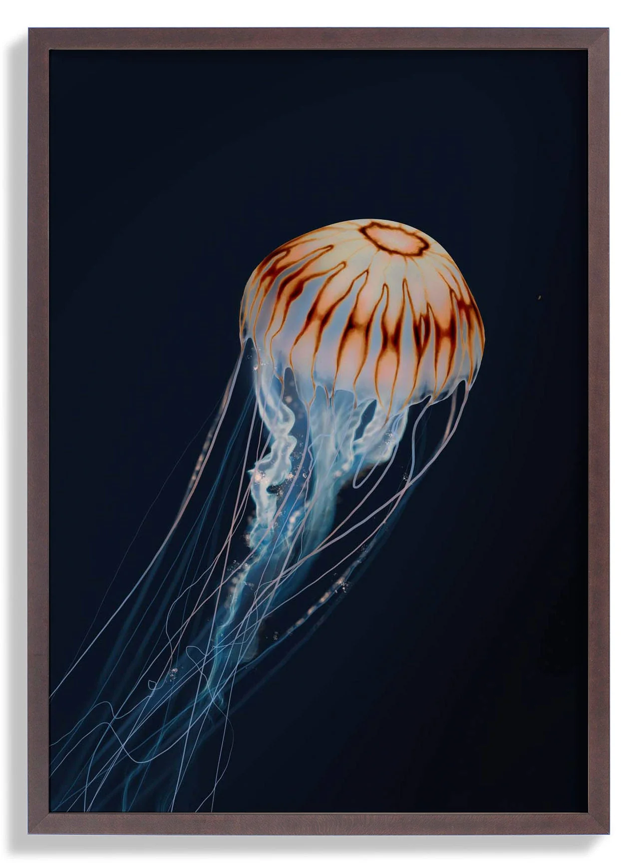 Sparkling Horizon Jellyfish von Julia Charlott
