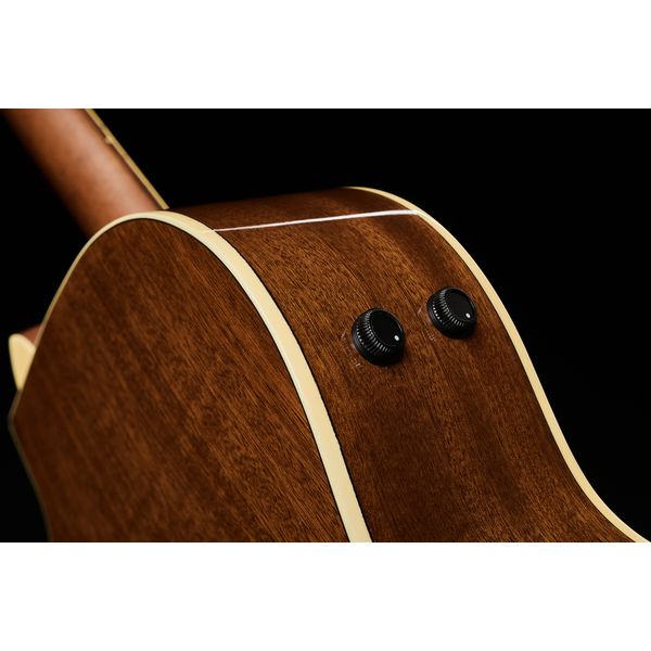 Fender Newporter Player Sunburst WN