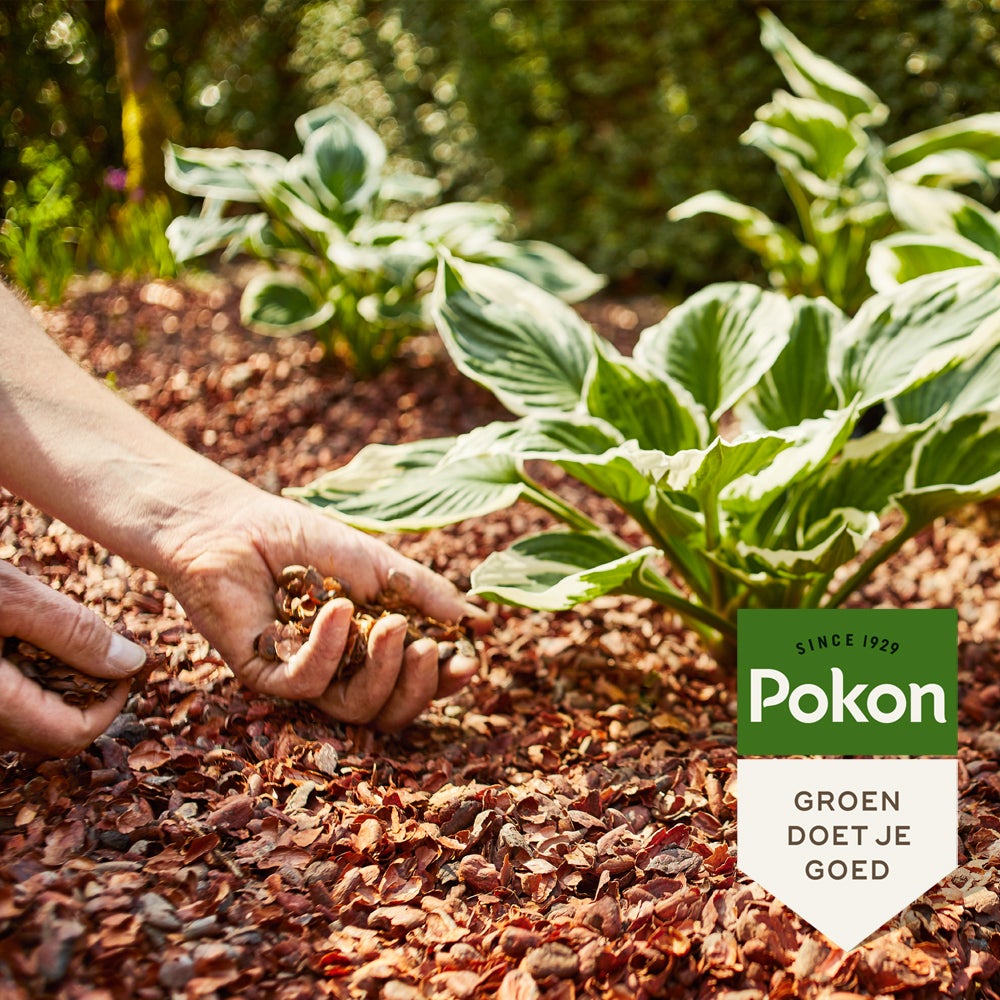 Pokon Cacaodoppen 40 L