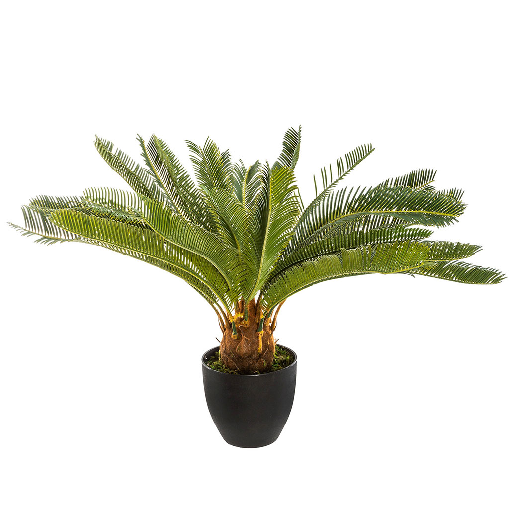 Palmier artificiel en pot ciment H 72cm