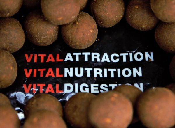 Bouillettes Vital Baits Boilies The Kraken (1kg)