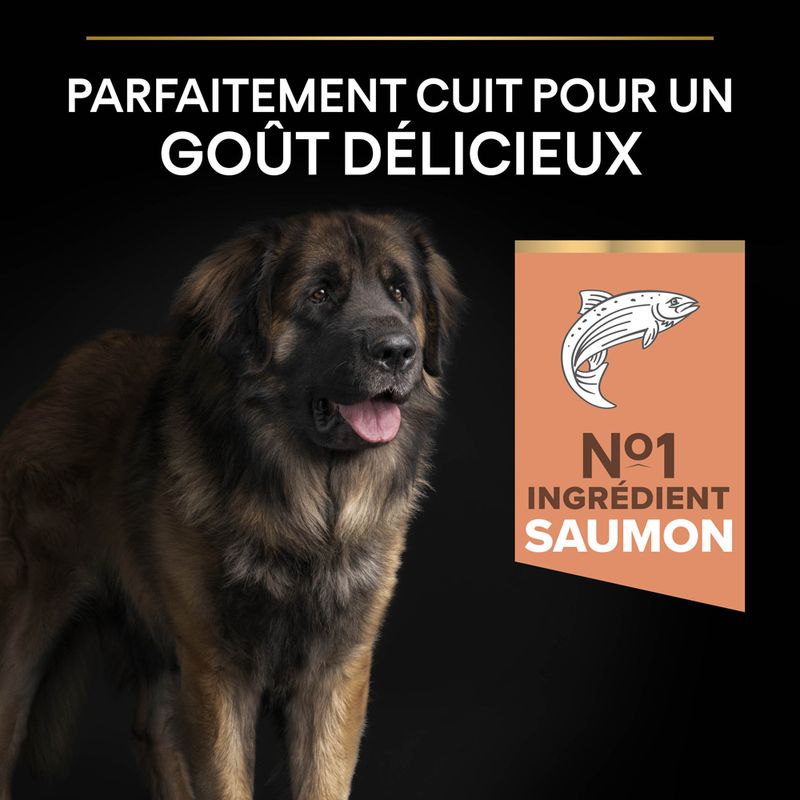 PURINA PRO PLAN Large Robust Adult Sensitive Skin saumon