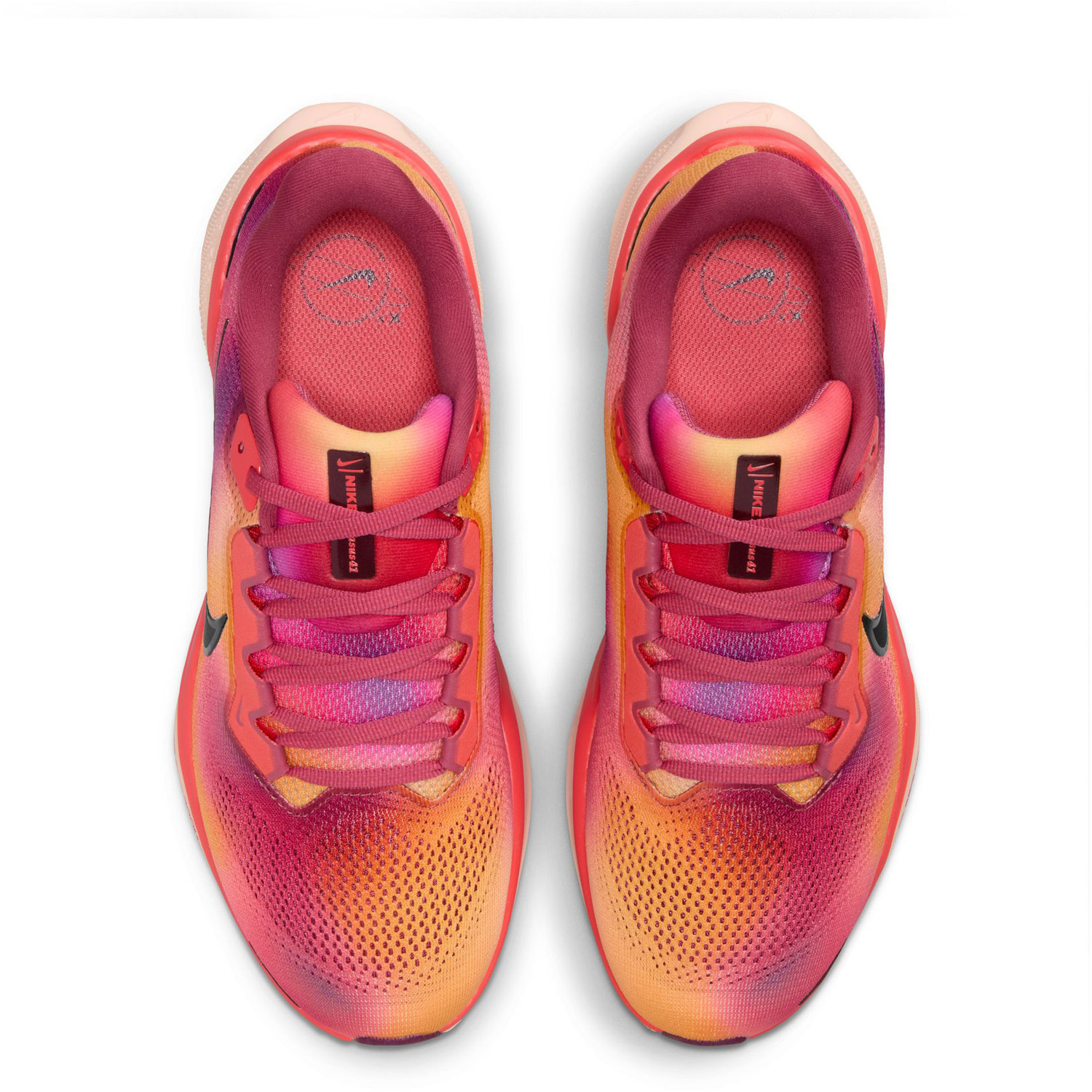 Nike Pegasus 41 SE Dames