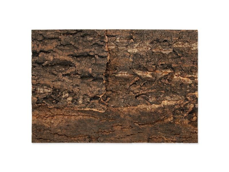 Repti Planet Kork-Rück Wand 28.5 x 41 x 2 cm Terrarienrückwand aus Kork