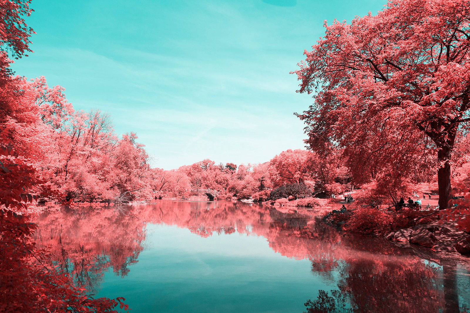 Infrared NYC III by Paolo Pettigiani - Limited Edition. Edition of: 150. Signed.