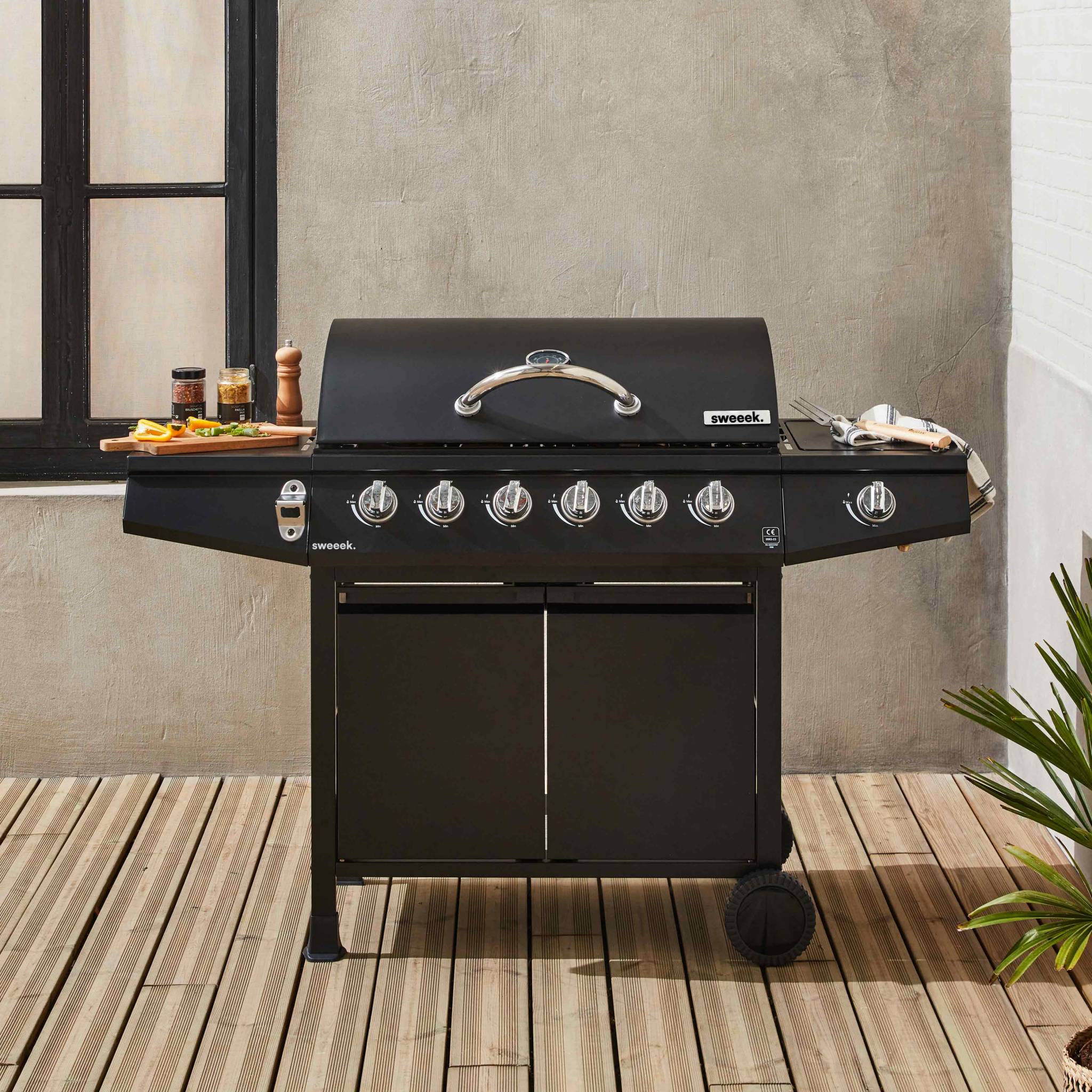 sweeek - Barbecue op gas, 7 branders- Treville 6