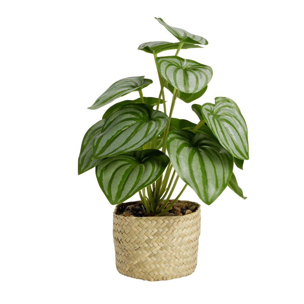 Plante verte artificielle en pot panier Ø12xH30cm - 2 modèles