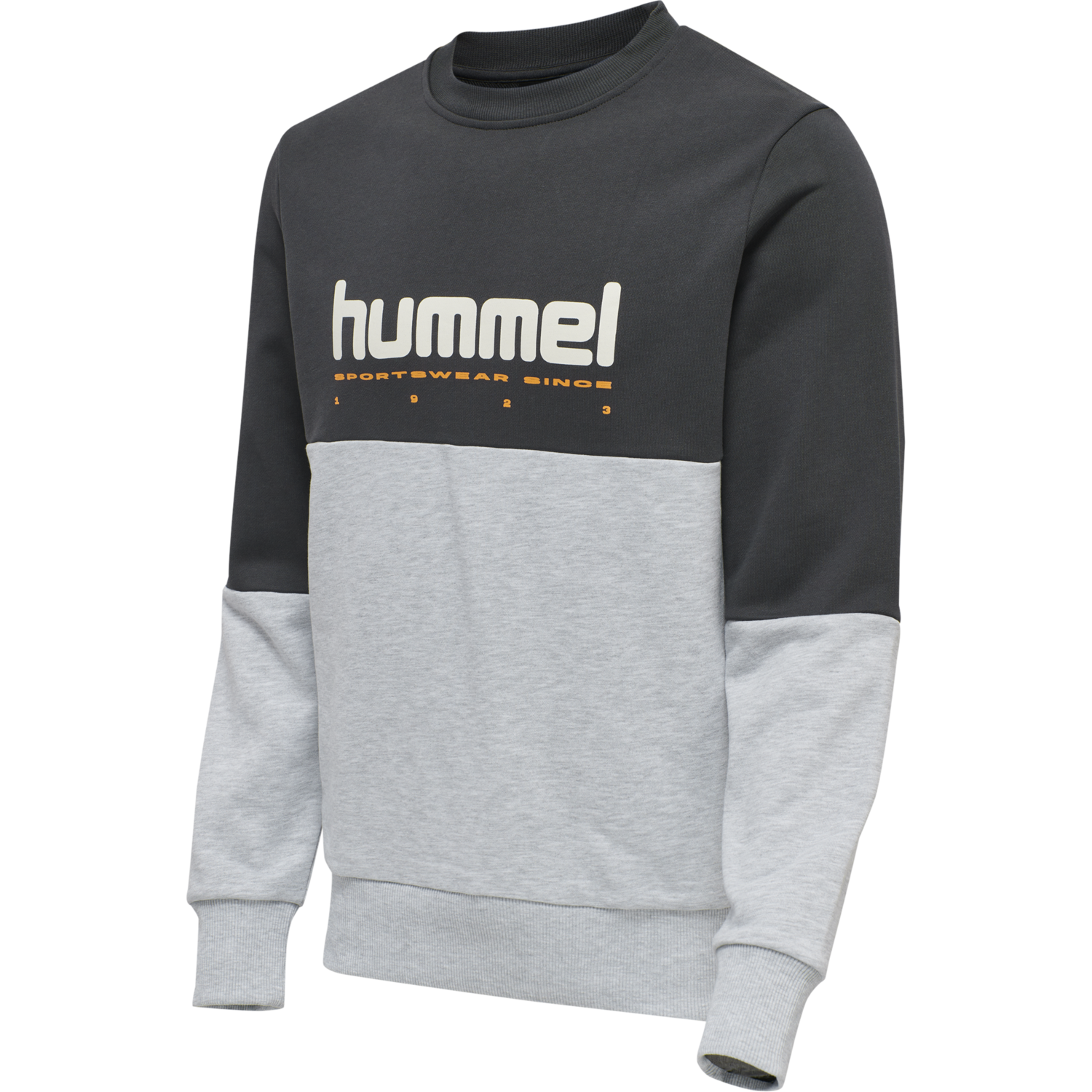 hmlLGC MANFRED SWEATSHIRT