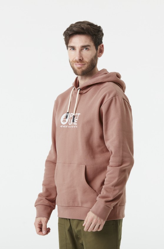 Picture Basement Hoodie Wood Ash