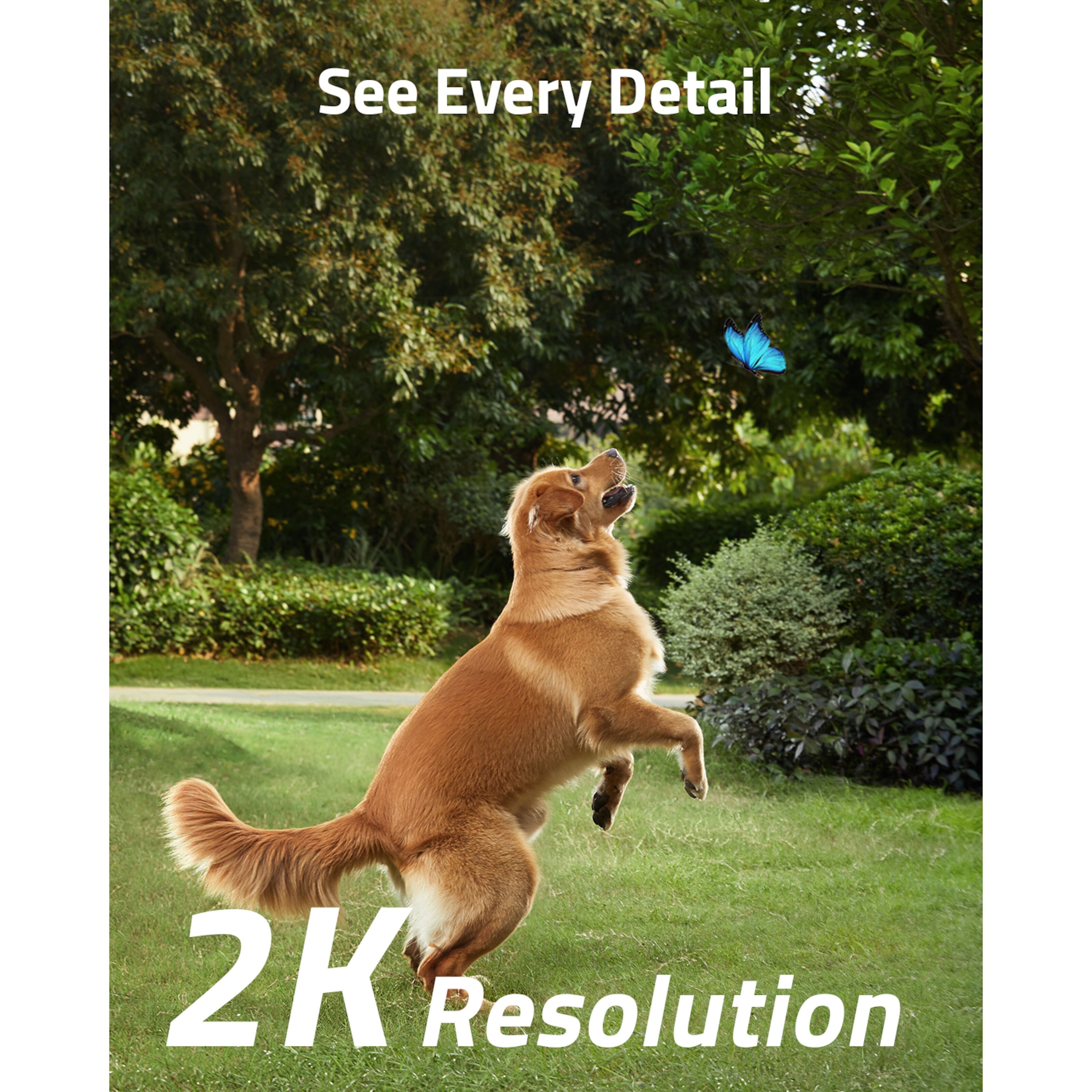 Eufy SoloCam S40 Overvåkingskamera