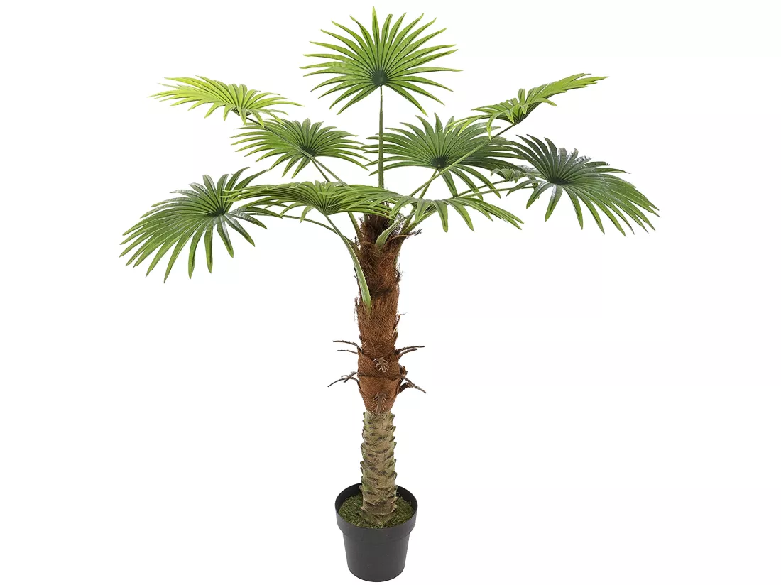 Tronc végétal décoratif de palmier l.100 x p.100 x h 134