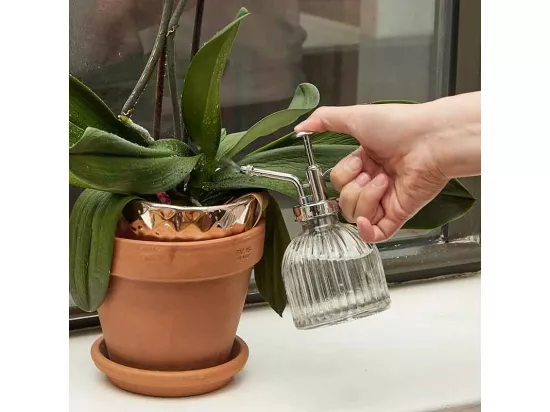 Arrosoir Spray pour plantes - style rétro