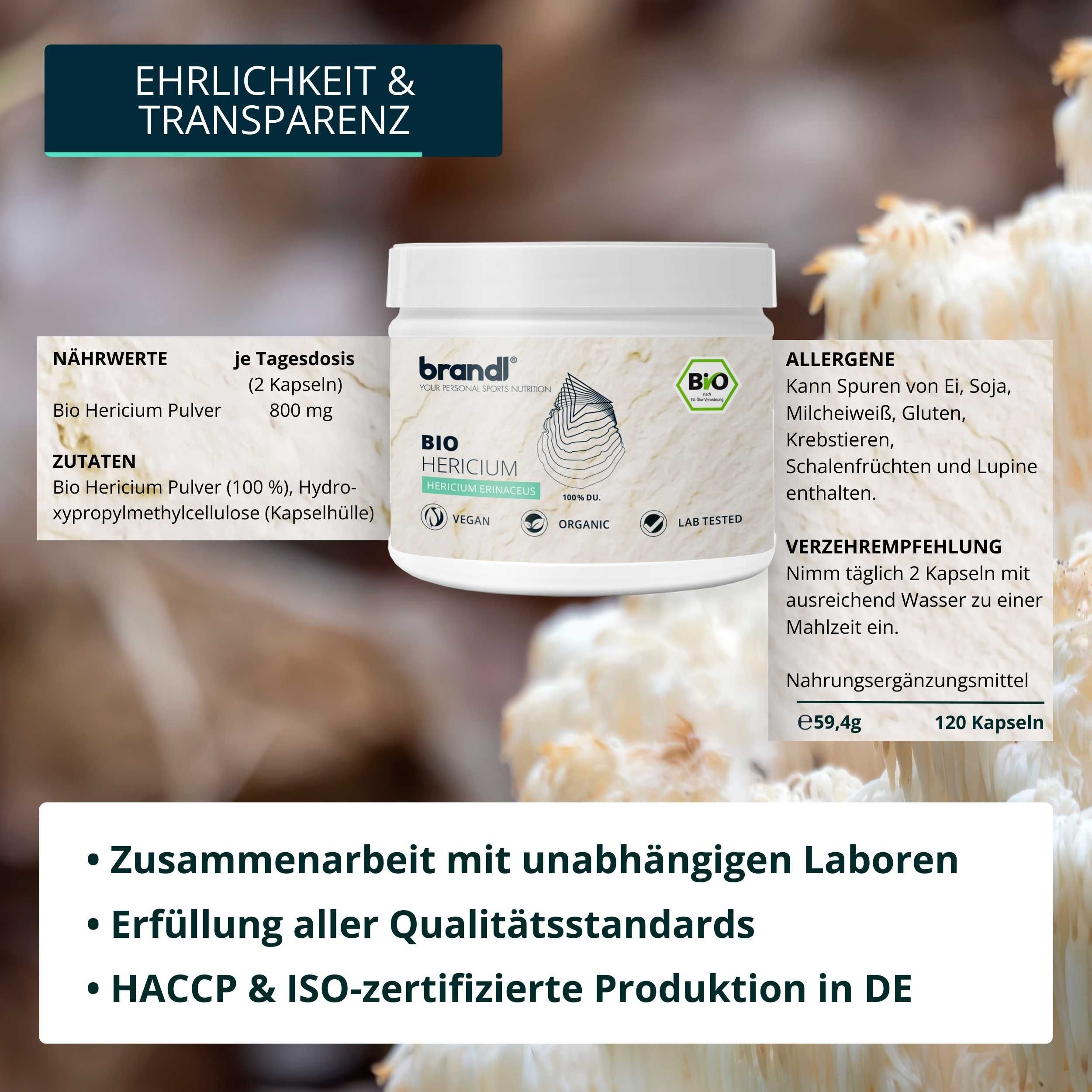 brandl® Bio Lions Mane (Hericium Erinaceus) Vitalpilz