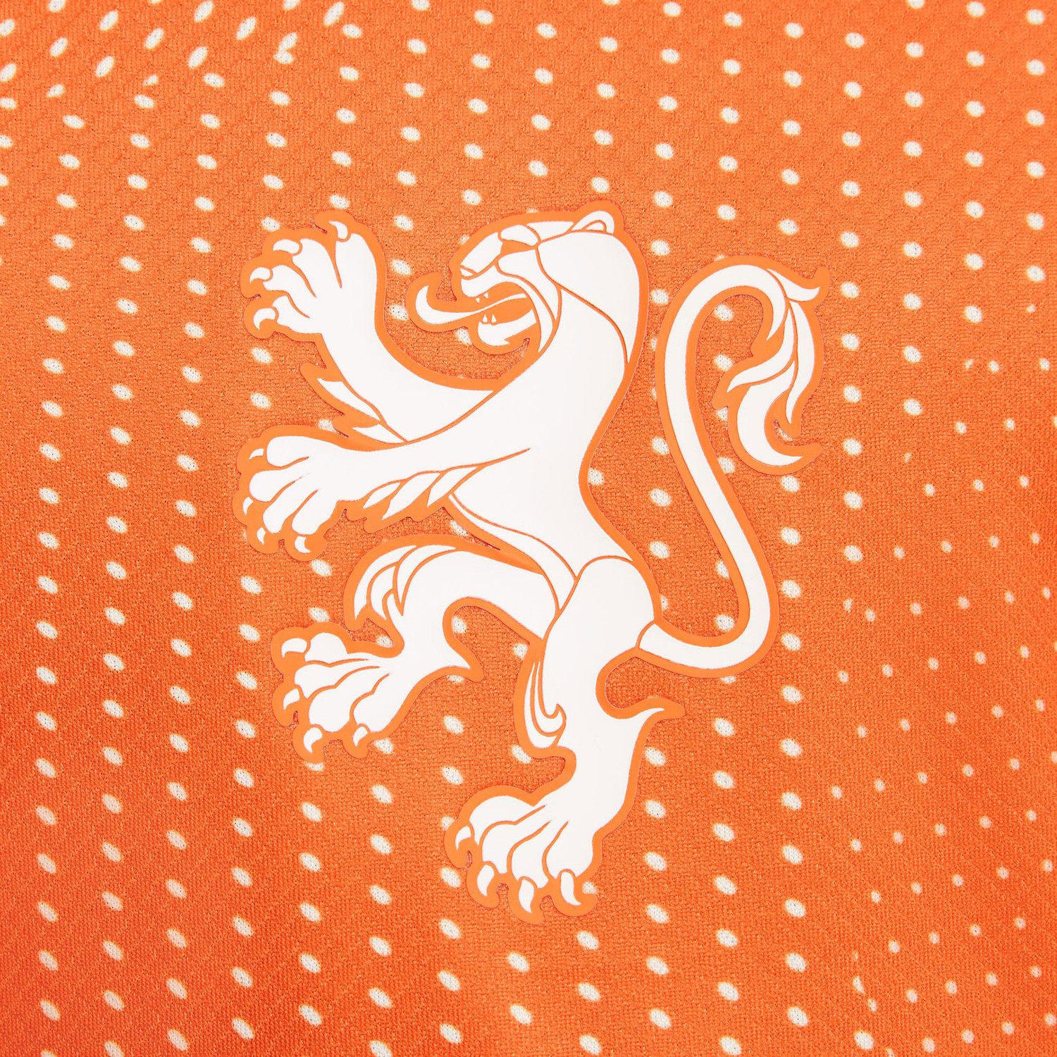 Nike Nederland Thuis Tenue Kids