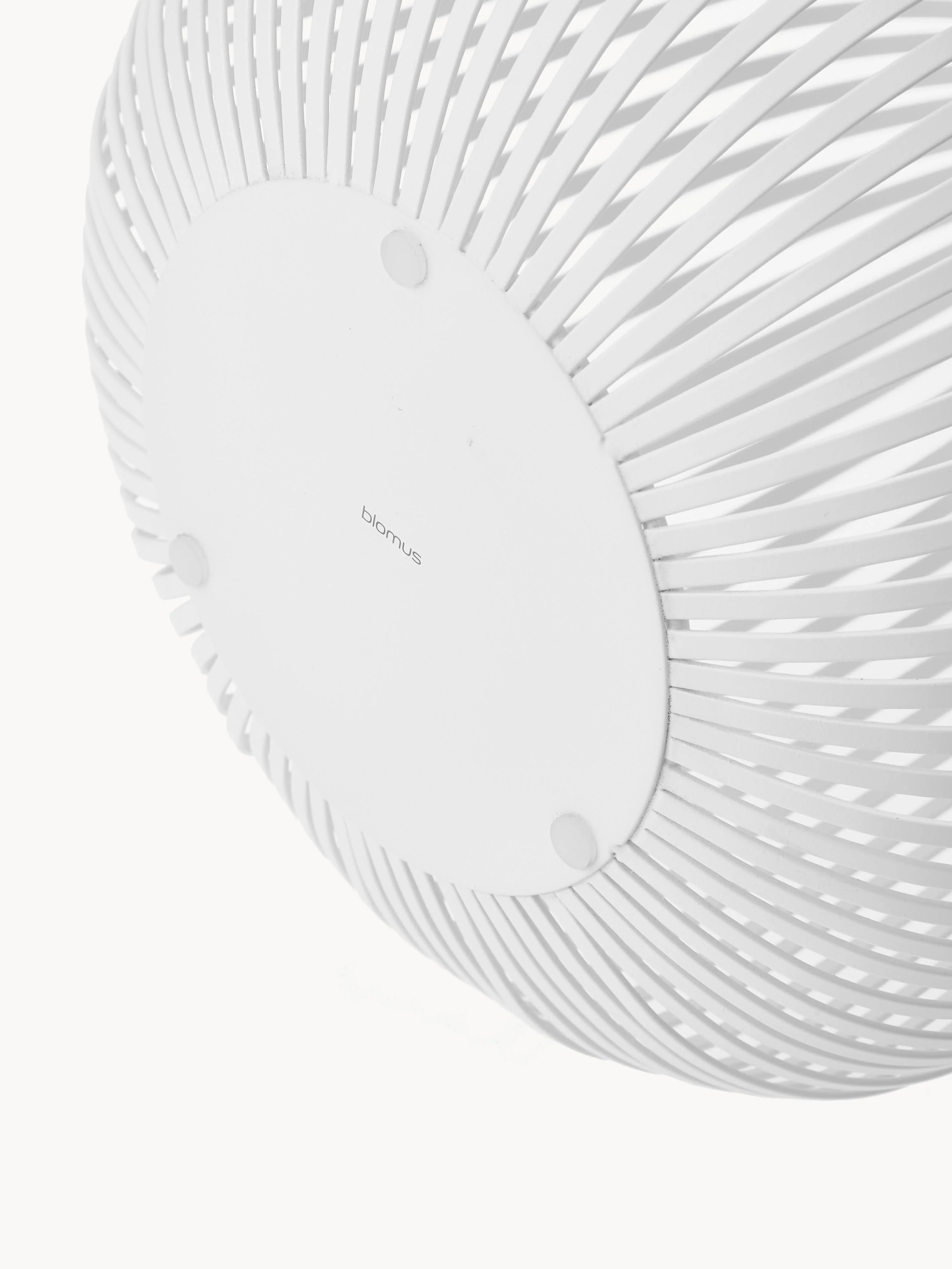 Windlicht Lito, H 27 cm