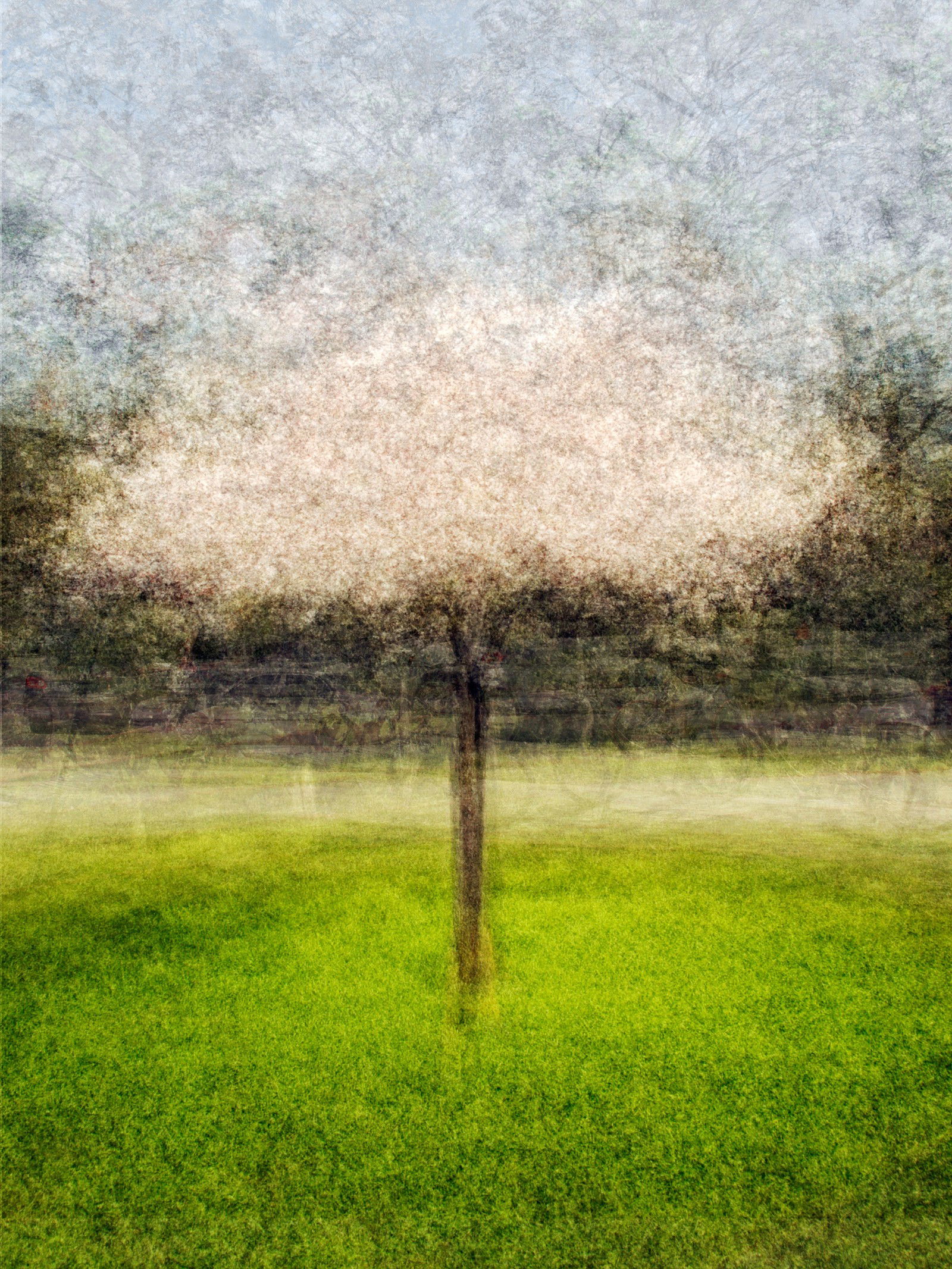 Golden Gate Park One by Pep Ventosa - Limited Edition. Edition of: 100. Signed.