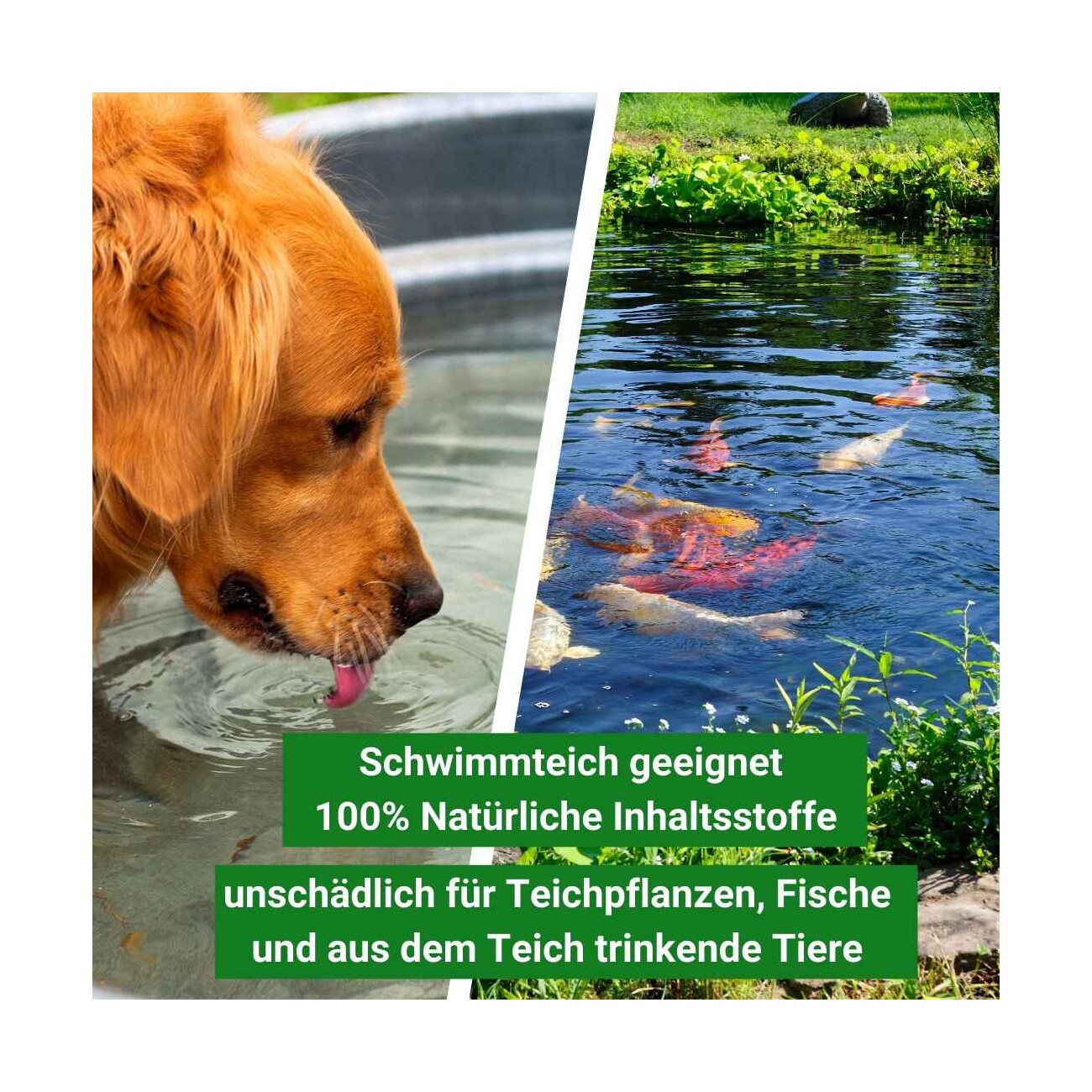Aqua-Cereal Teichschlamm Entferner 5kg