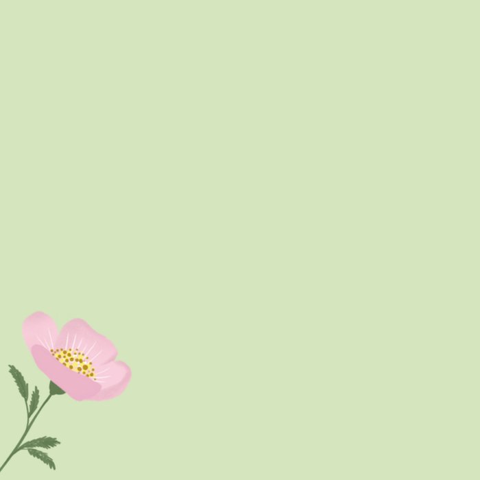 Zomaar | Tsjip | Bloemen