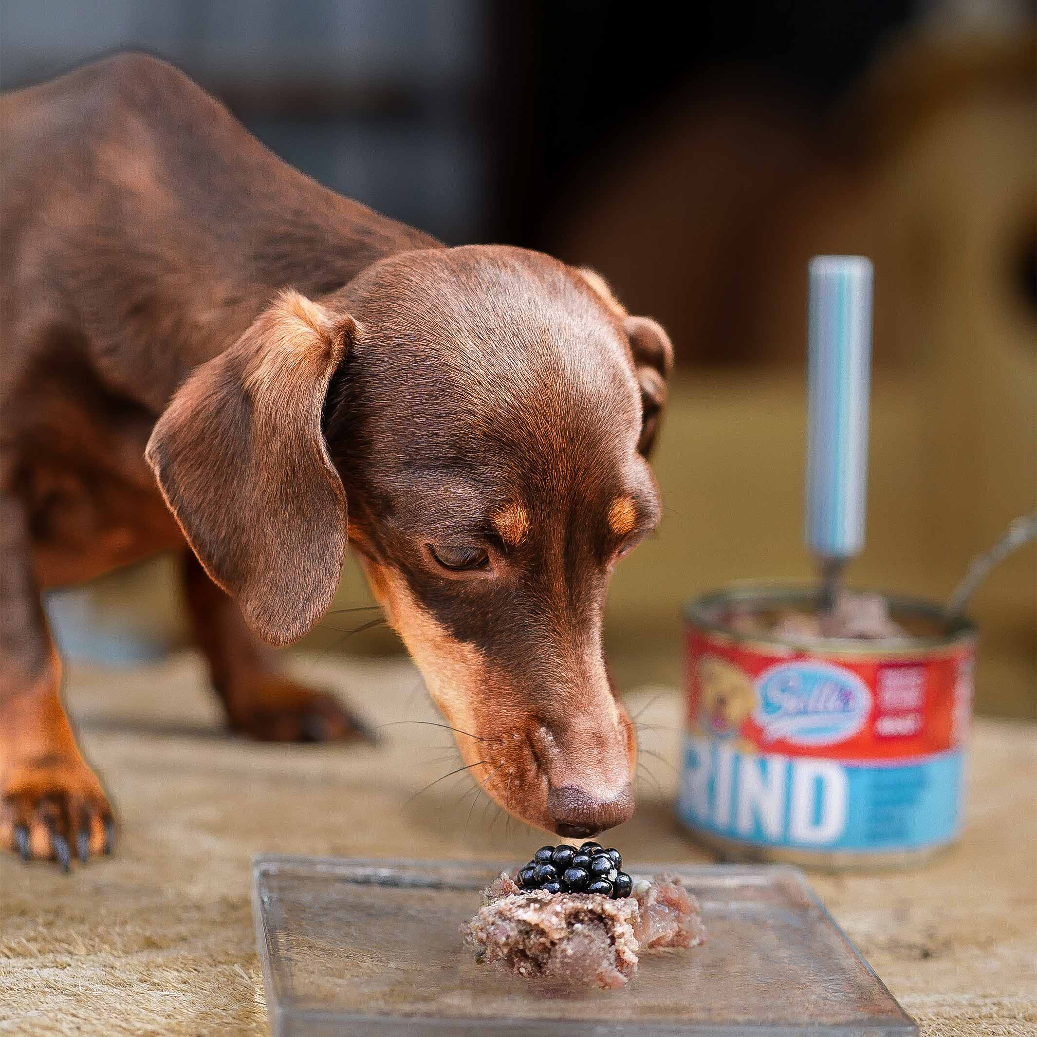 Sollis Nassfutter für Hunde Rind - Adult
