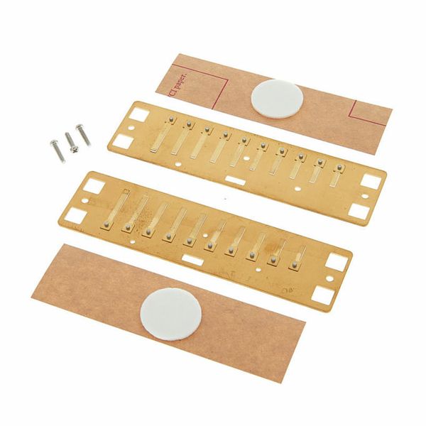 Lee Oskar Natural Minor Reedplates Db