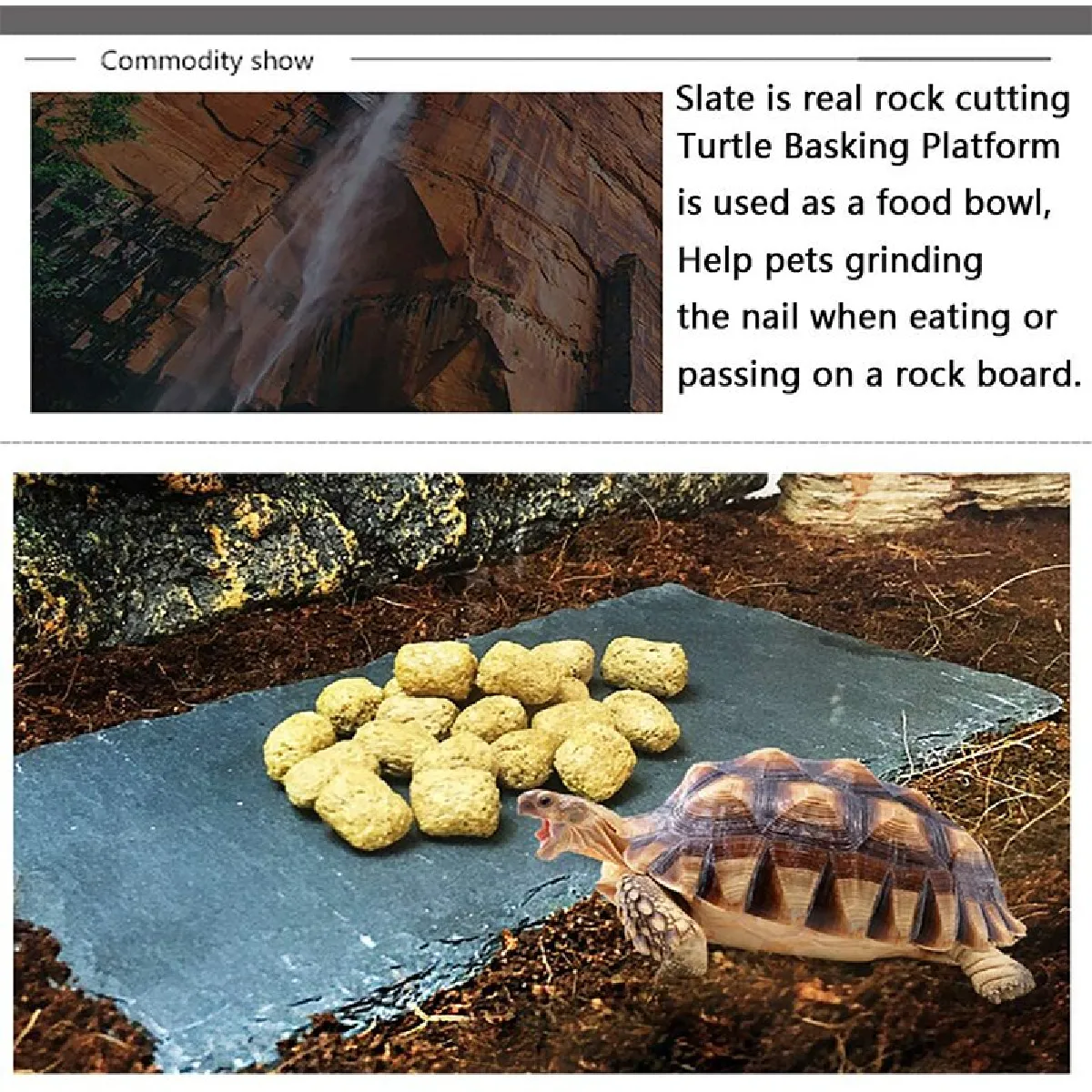 Universal Rock naturel bol tortue