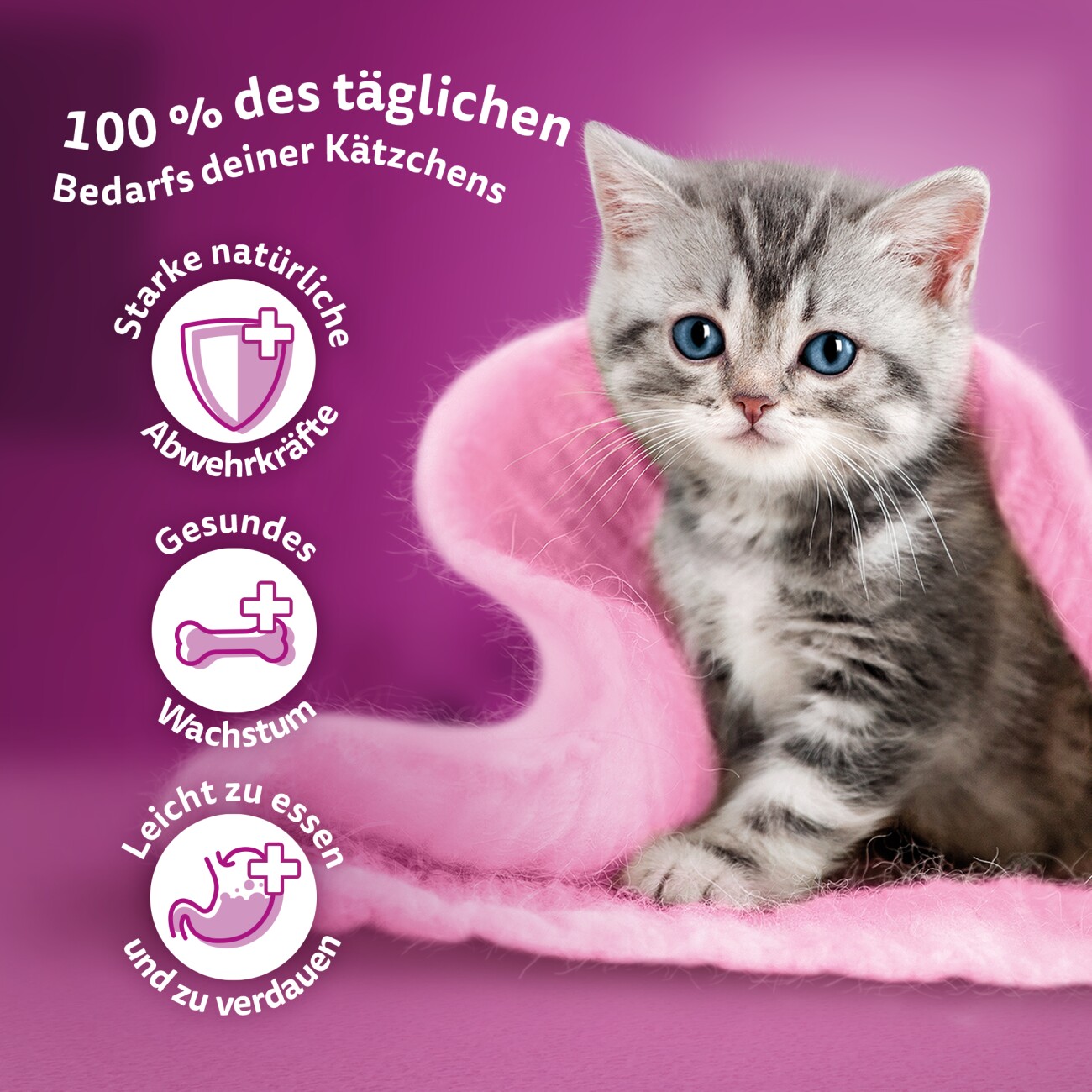 Whiskas Multipack Junior Klassische Auswahl in Sauce 12 x 85g