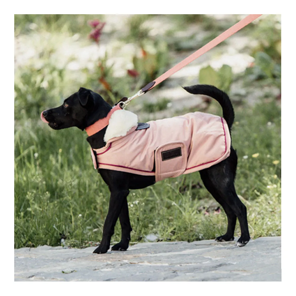 Kentucky 52244 160G - Couverture pour chien coral