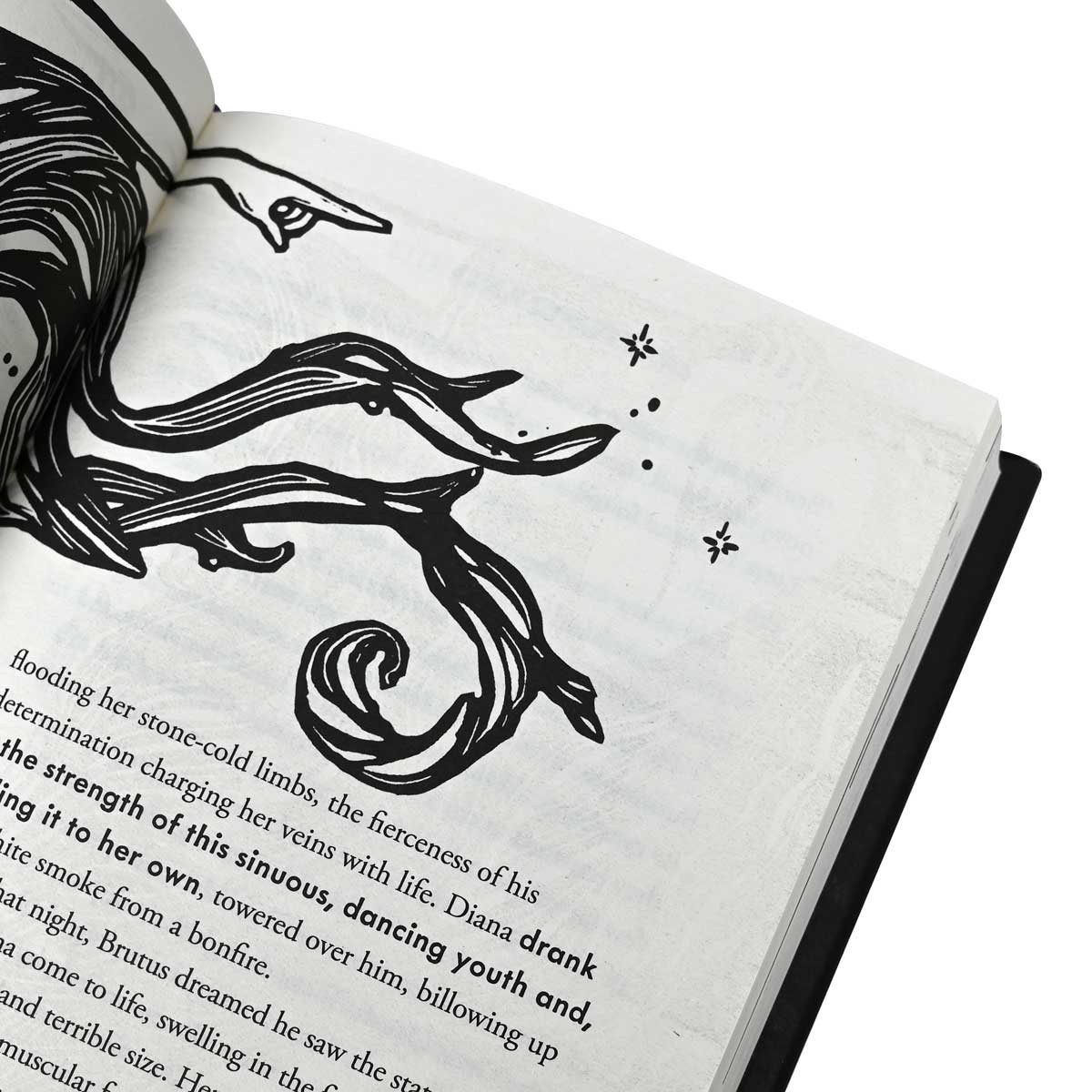 Storyland: Signed Edition (Hardback)