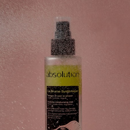 Absolution La brume systémique