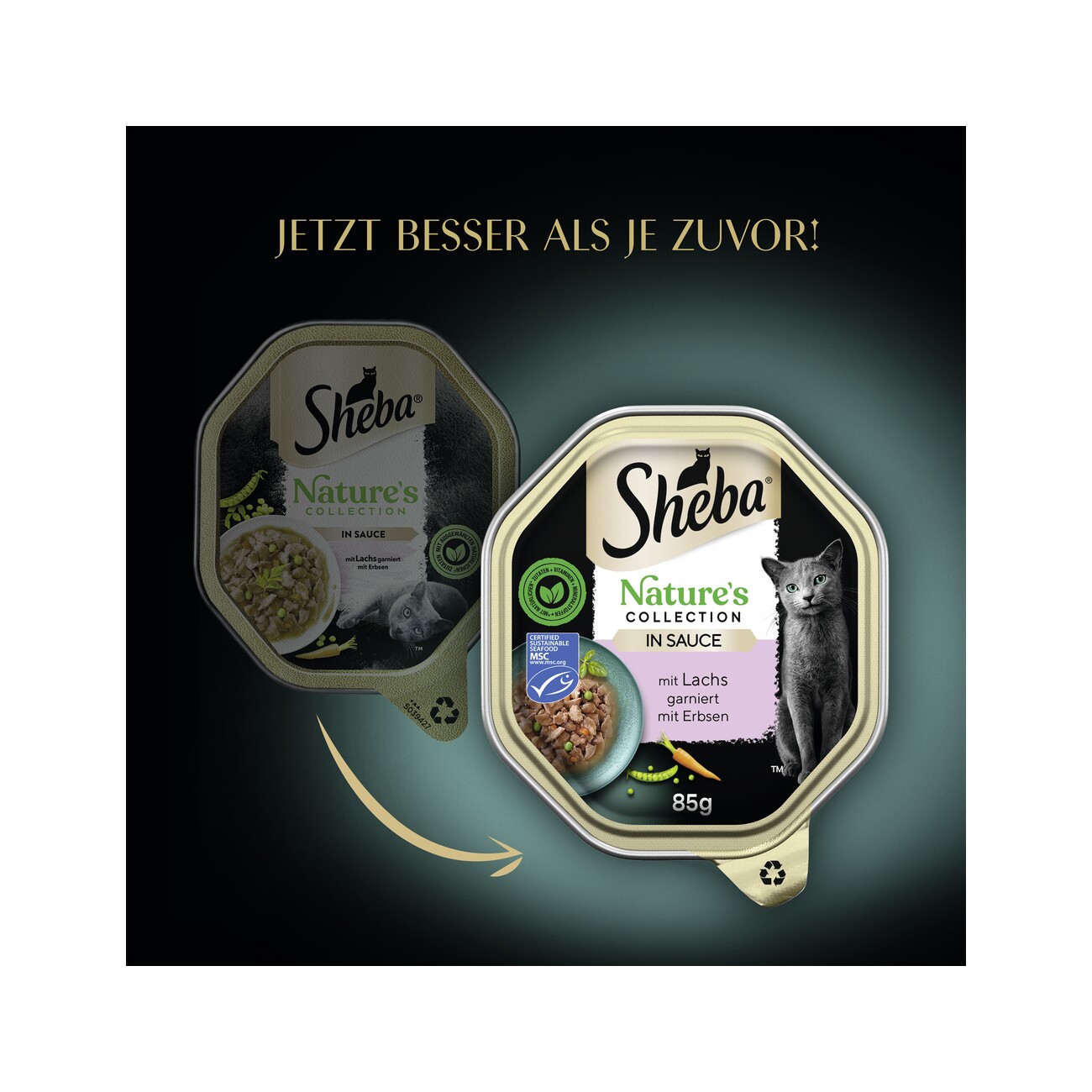 Sheba Nature´s Collection 22 x 85g in Sauce Lachs mit Erbsen