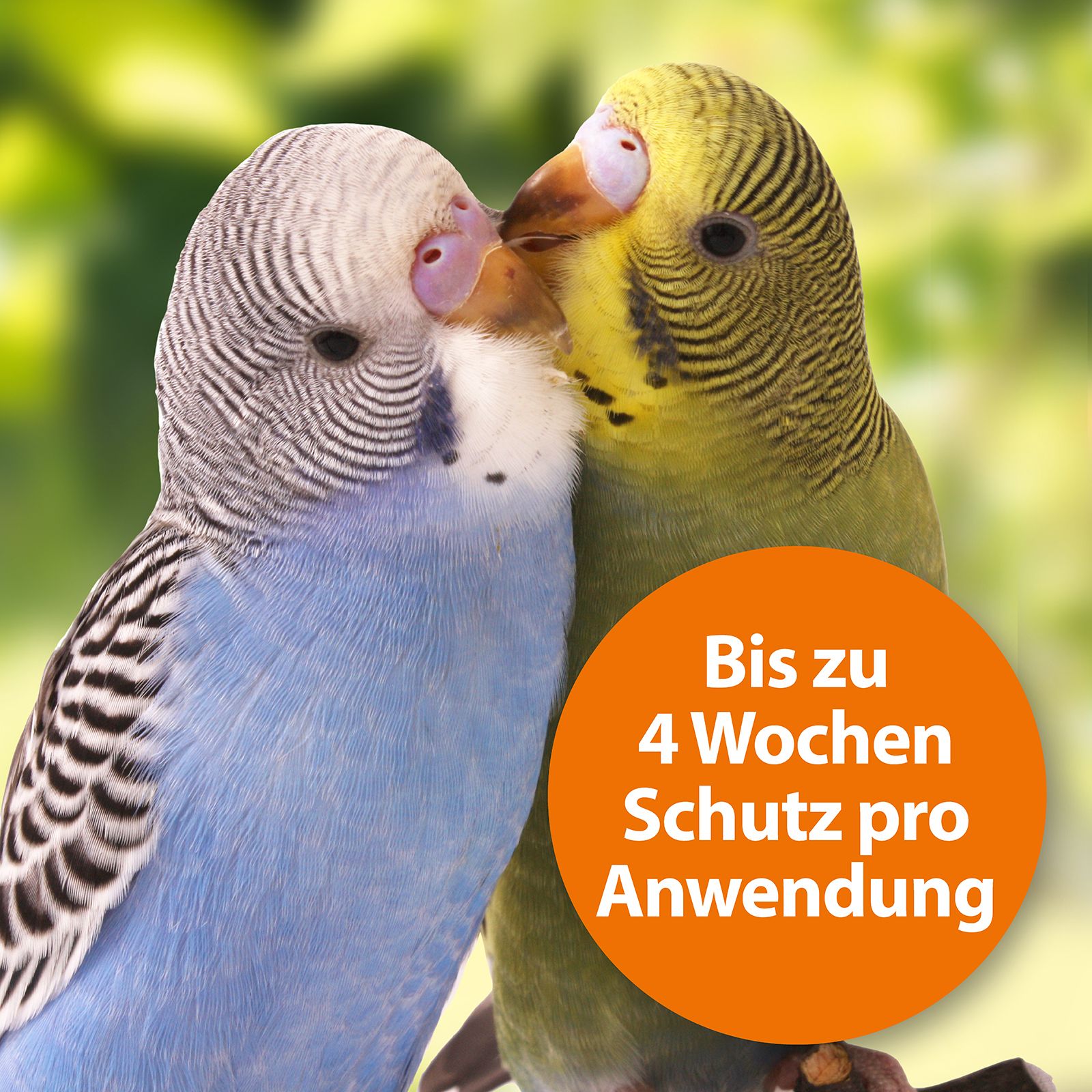 ARDAP Spot-on für Vögel