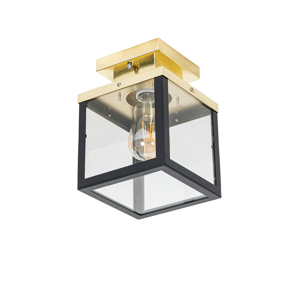 Industriële buiten plafondlamp zwart met goud - Rotterdam