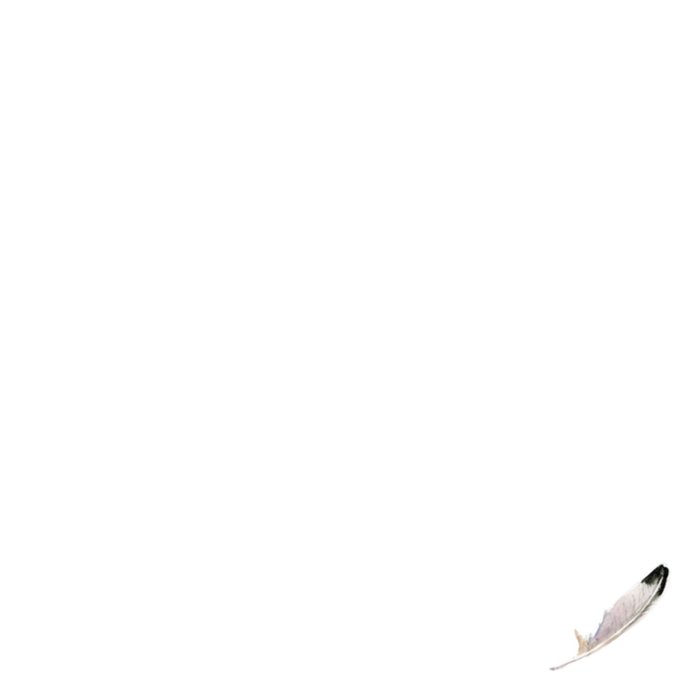 Michelle Dujardin | Condoleancekaart | Veel sterkte