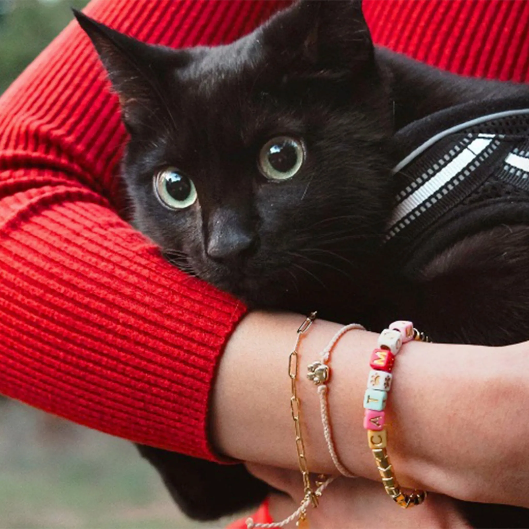 Puravida Bracelet Cat Mom Or