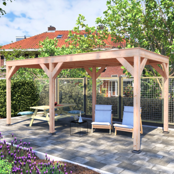 Overkapping Douglas 545x255cm a-symmetrisch
