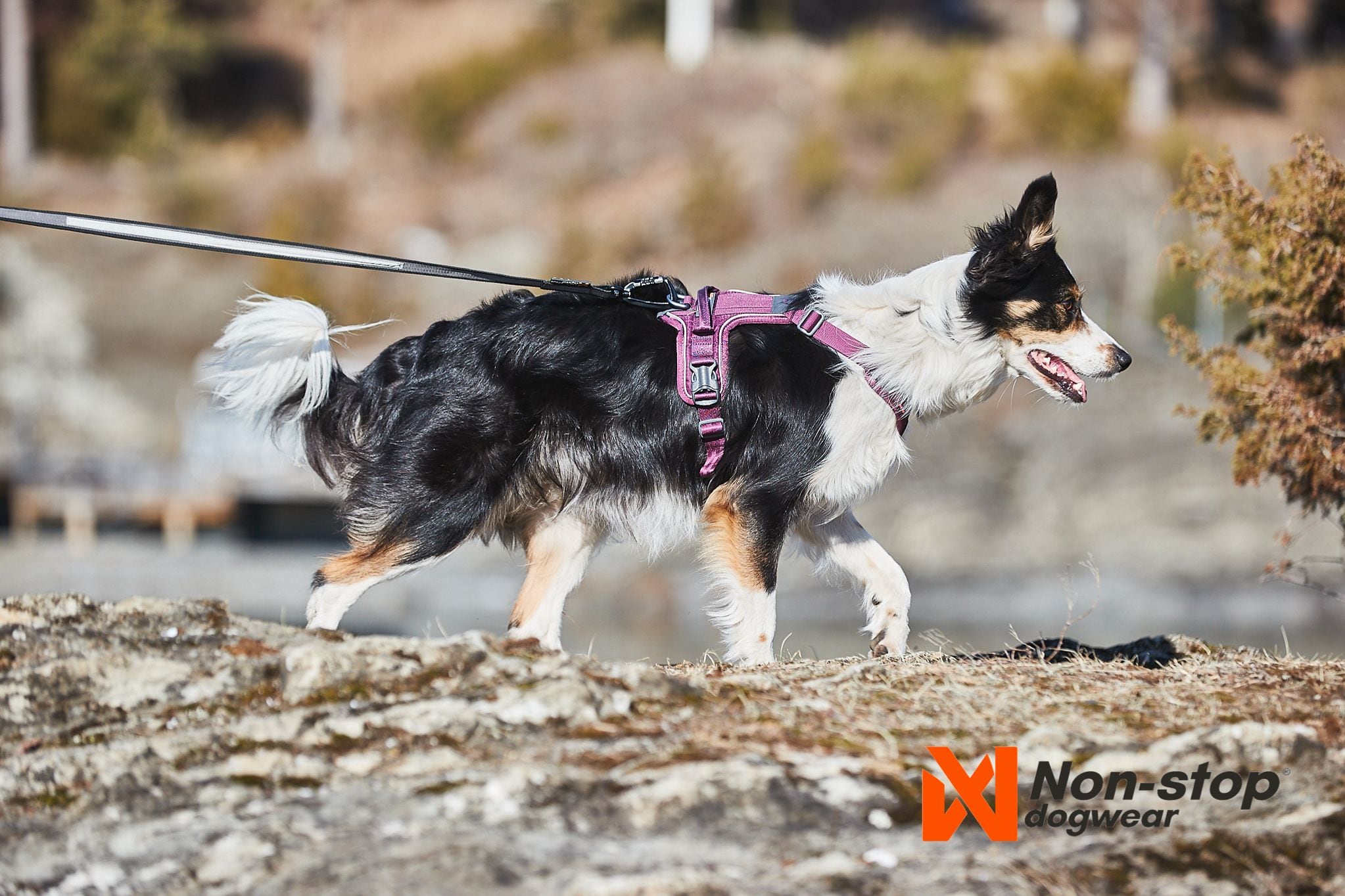 Kjøp Non-Stop Dogwear Ramble Harness fra Hekta på tur!