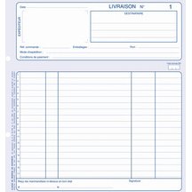 Manifold Elve Autocopiant 21 x 29,7 cm - 50 pages - 2 exemplaires