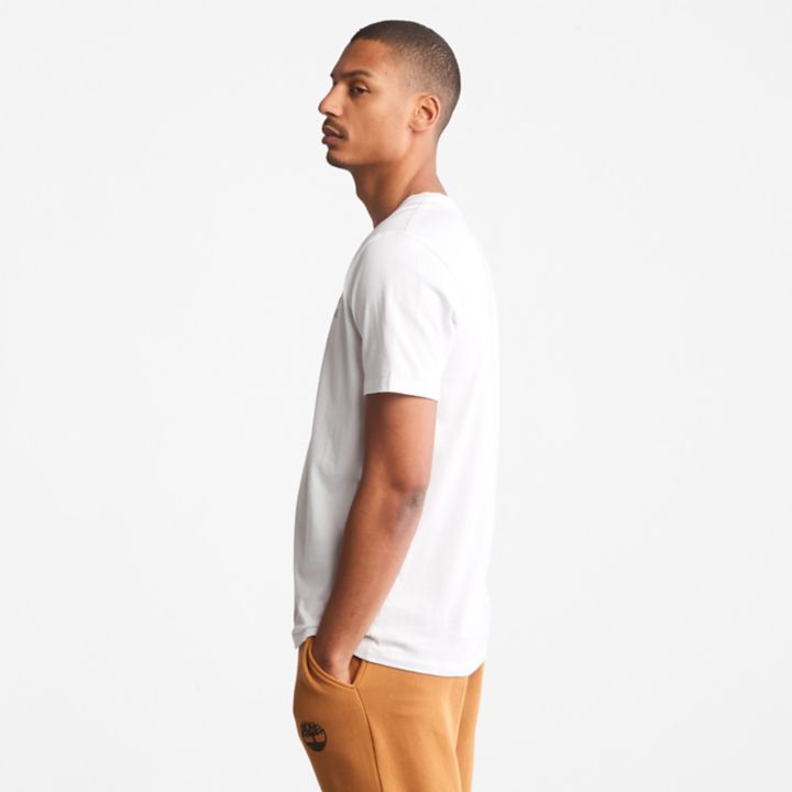 Camiseta masculina branca com estampa de vento, água, terra e céu.