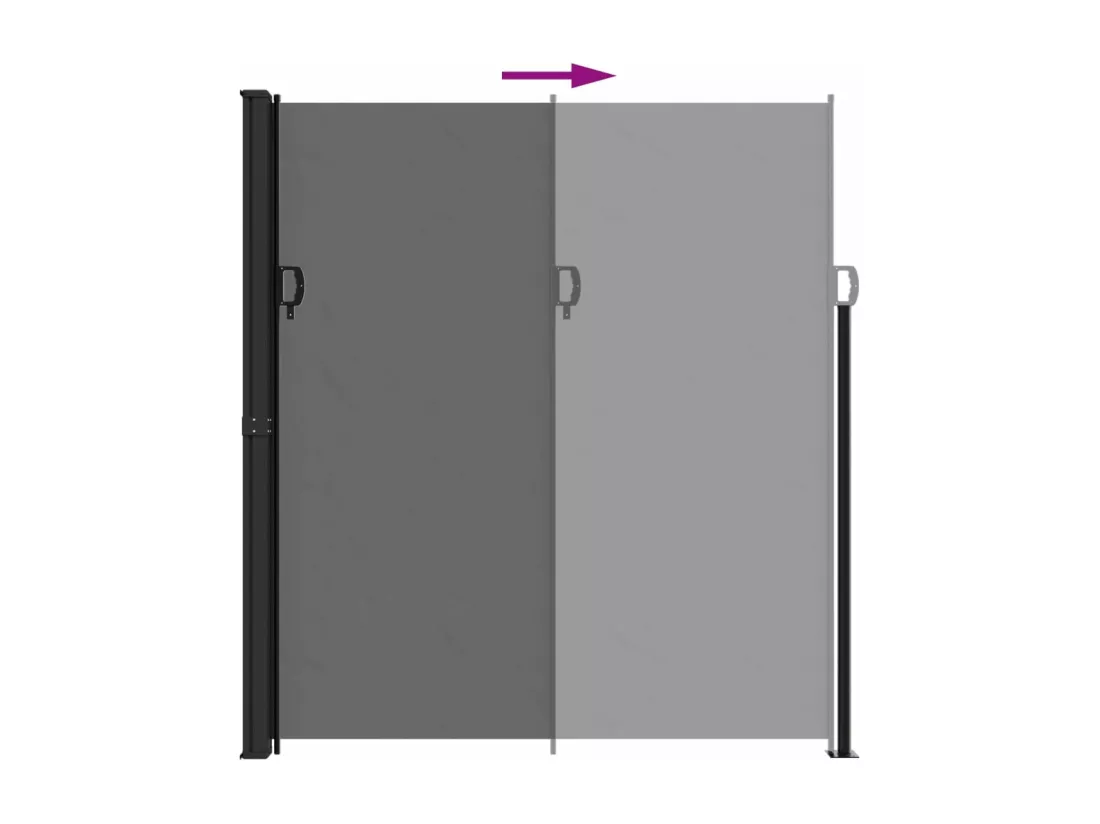 Auvent latéral rétractable anthracite 220x300 cm