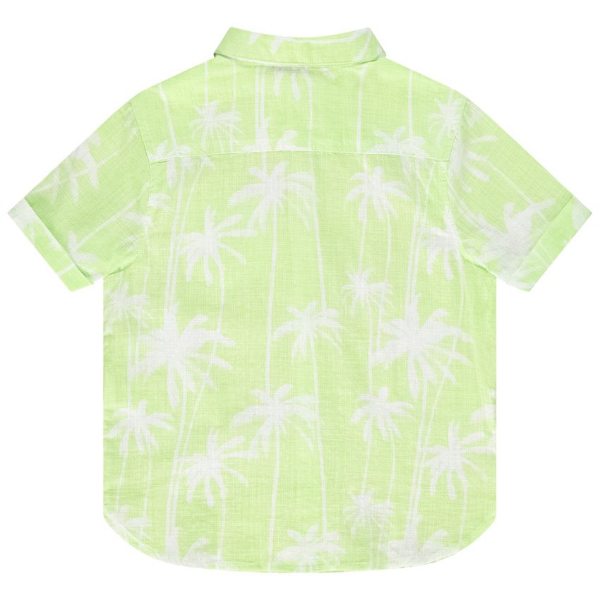 Chemise manches courtes imprimé palmiers pour garçon - Vert