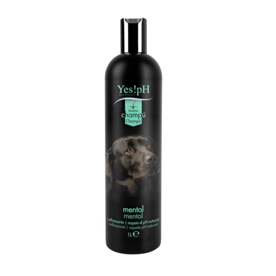 Sim! Shampoo de mentol pH para cães e gatos.