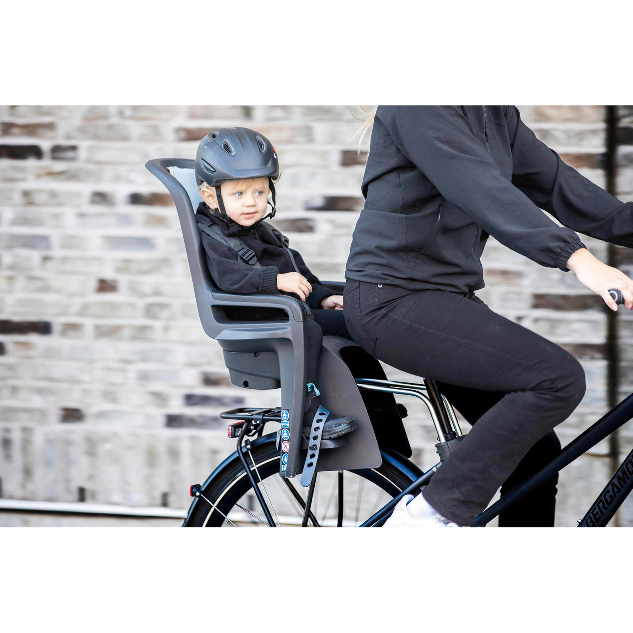 Thule Kinderfahrradsitz RideAlong 2 dark gray