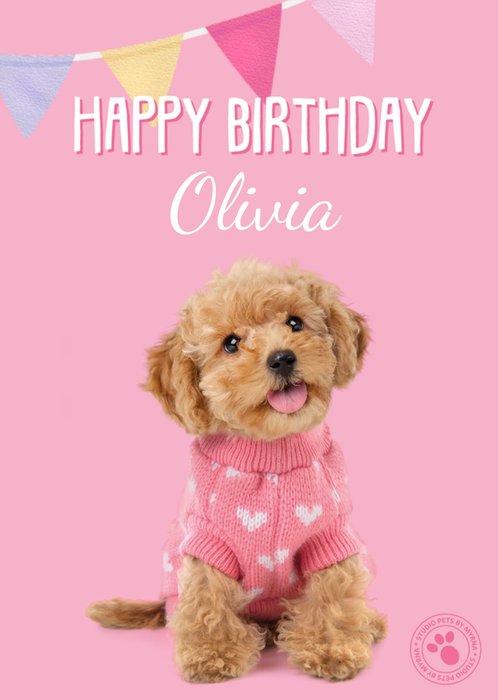 Studio Pets | Verjaardagskaart | Birthday Dog