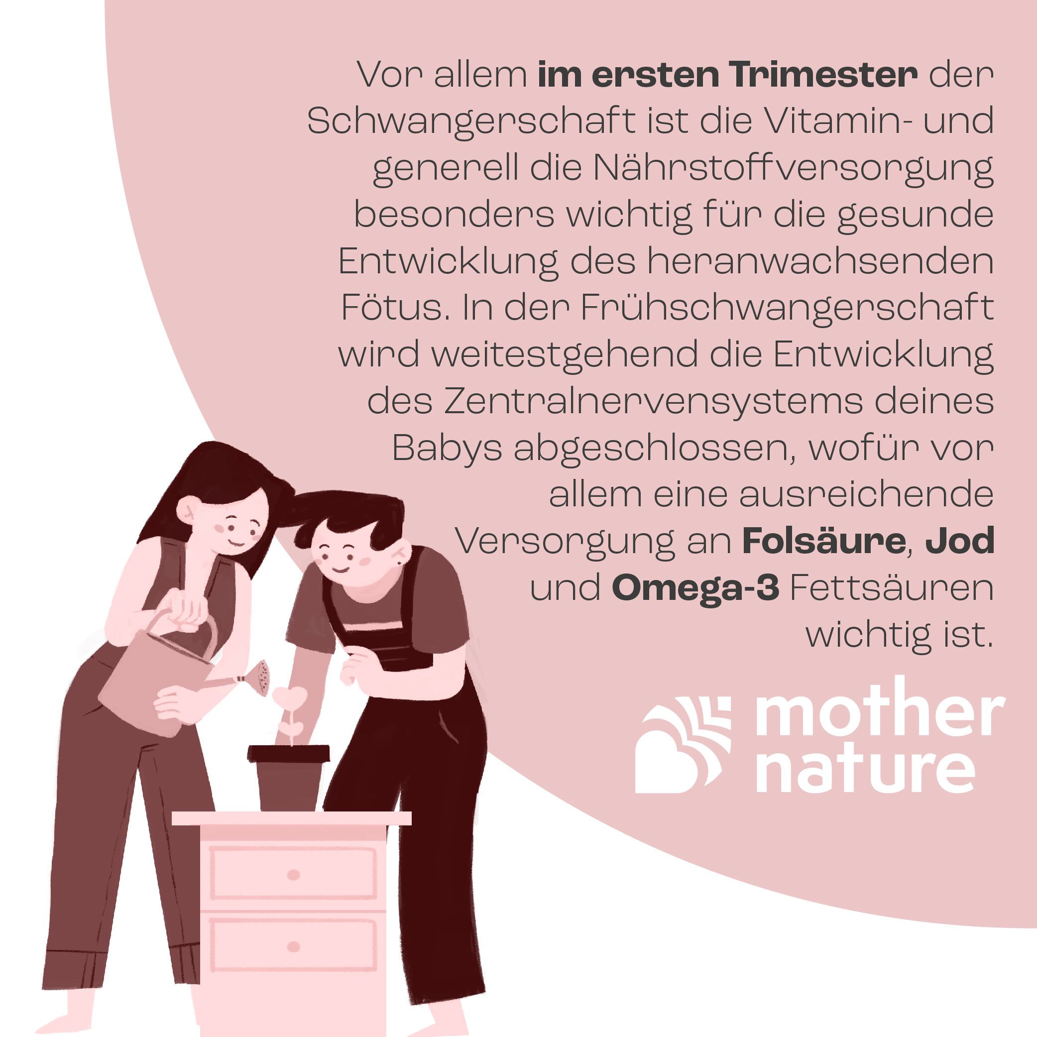 Mother Nature® Schwangerschaftsvitamine für Frauen während der Frühschwangerschaft - Phase 1