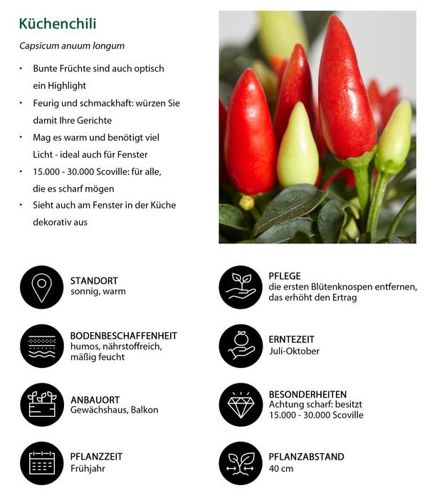 Küchenchili, scharf