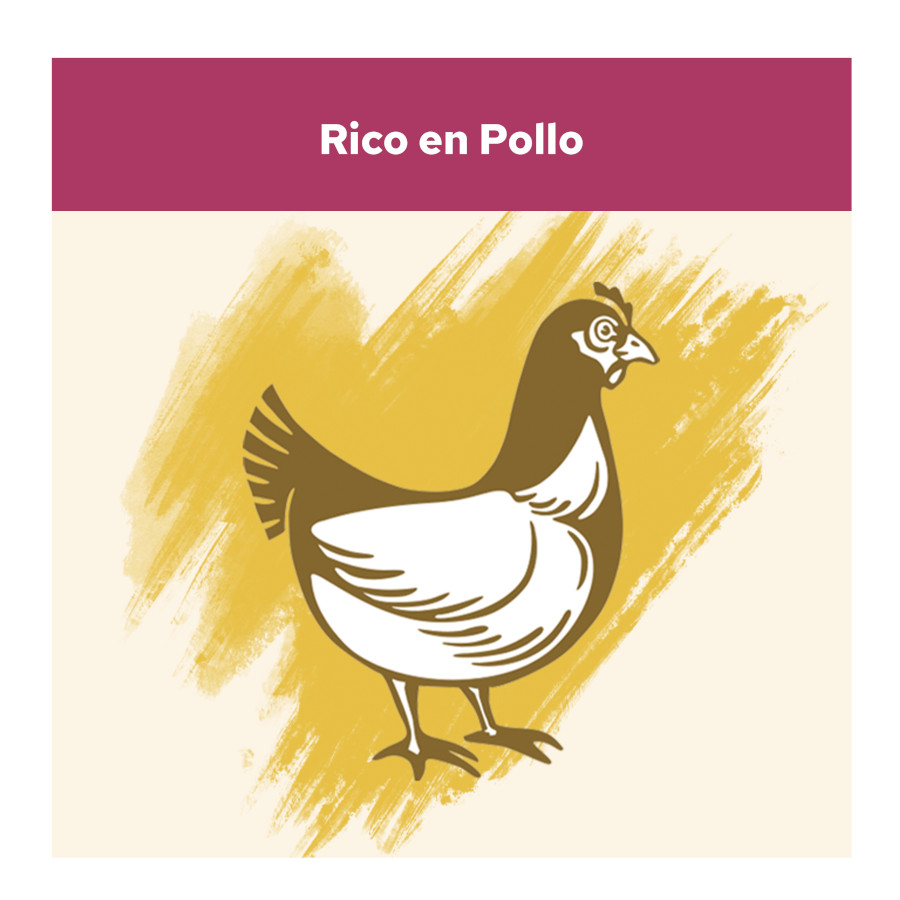 Cat Chow para a saúde do trato urinário Pollo Pienso