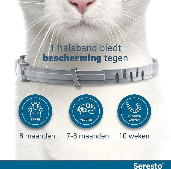 Seresto Teken- En Vlooienband Kat 38 cm - Anti tekenmiddel - 2 stuks